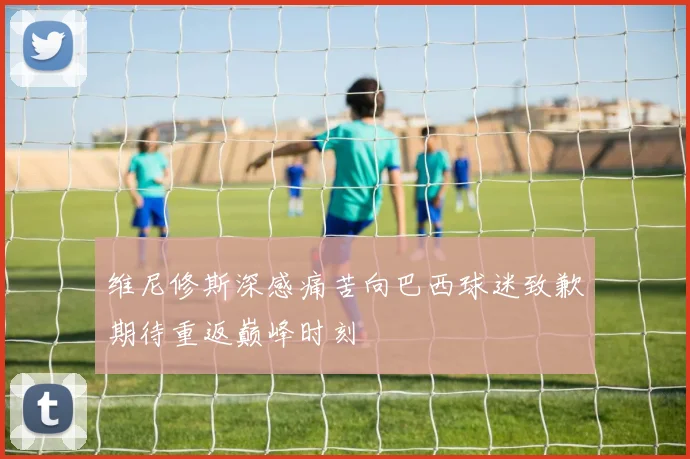 维尼修斯深感痛苦向巴西球迷致歉期待重返巅峰时刻