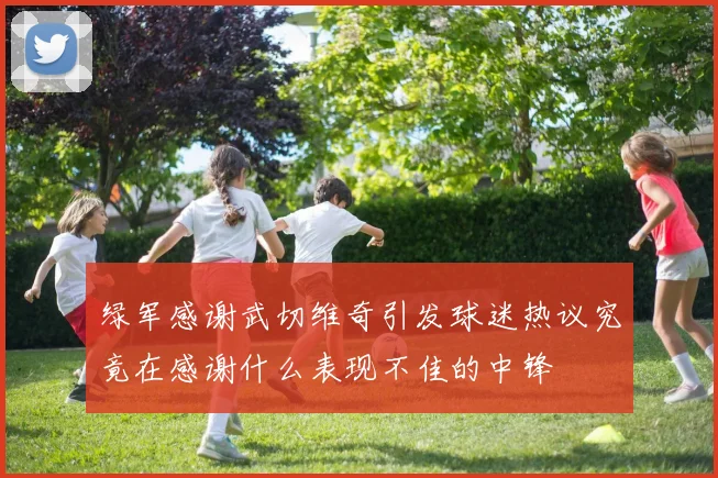 绿军感谢武切维奇引发球迷热议究竟在感谢什么表现不佳的中锋