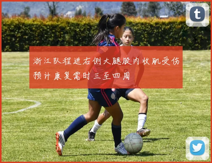 浙江队程进右侧大腿股内收肌受伤预计康复需时三至四周
